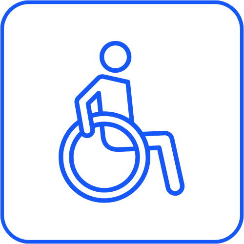 Accessible icon